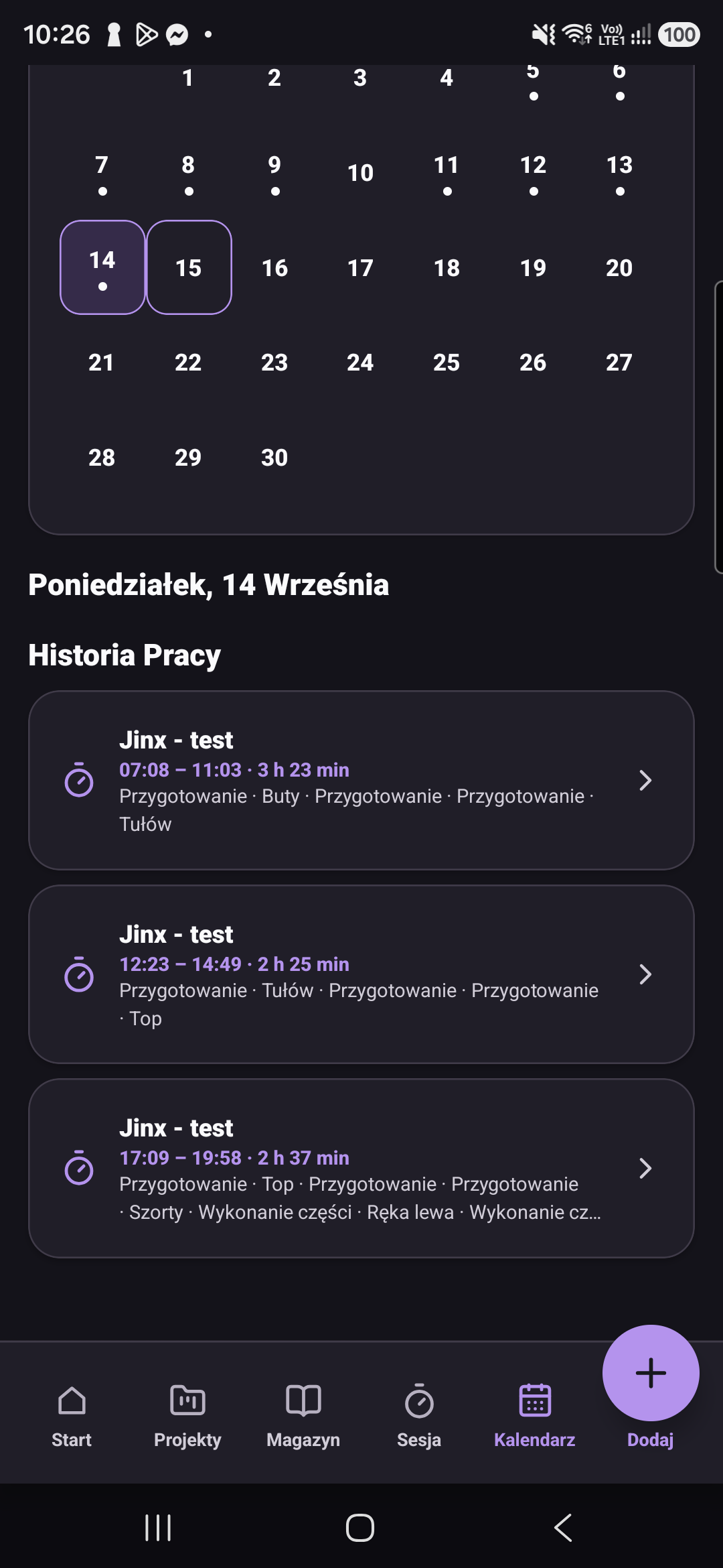 Recorded sessions on the selected day with hours, work time and items; Polish interface.